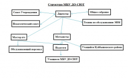 МБУ ДО-СЮТ :линейная организационная структура управления